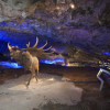 CuevadeAvin1.jpg