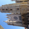 DSC03100.jpg