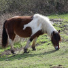 DSC03476.jpg