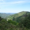 DSC03591.jpg