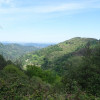 DSC03591.jpg