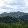 DSC03602.jpg