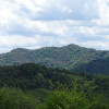 DSC03602.jpg