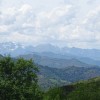 DSC03603.jpg