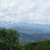 DSC03603.jpg