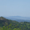 DSC03606.jpg