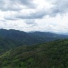 DSC03611.jpg