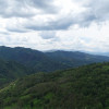DSC03611.jpg