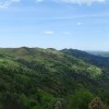 DSC03621.jpg
