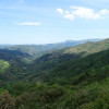 DSC03622.jpg
