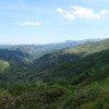 DSC03622.jpg