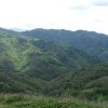 DSC03637.jpg