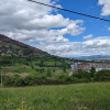 PXL_20230506_134745395.jpg
