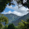 PXL_20230827_141145767.jpg