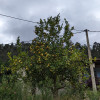 PXL_20230827_143214133.jpg