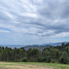 PXL_20230903_135059211.jpg