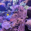 PXL_20231203_123436016.jpg