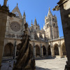 PXL_20240804_092730146.jpg